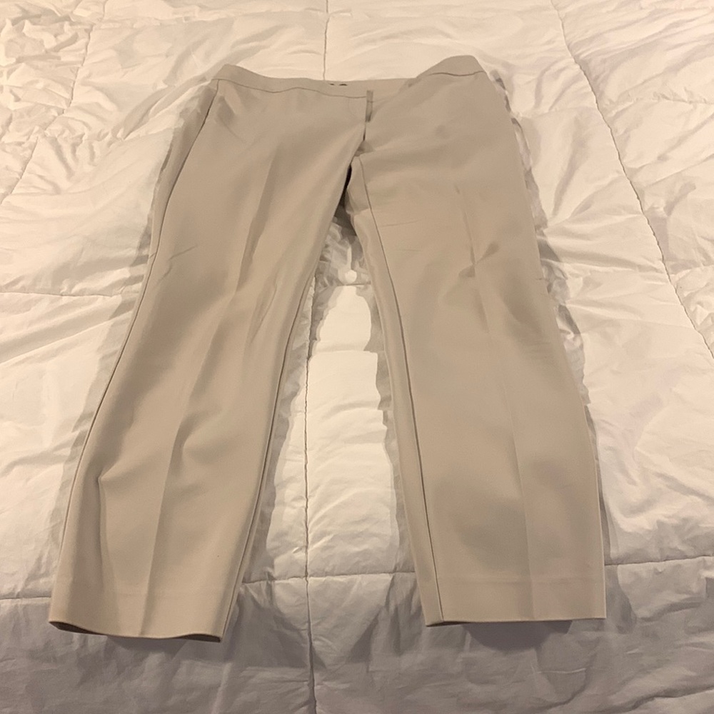 Ann Taylor pants